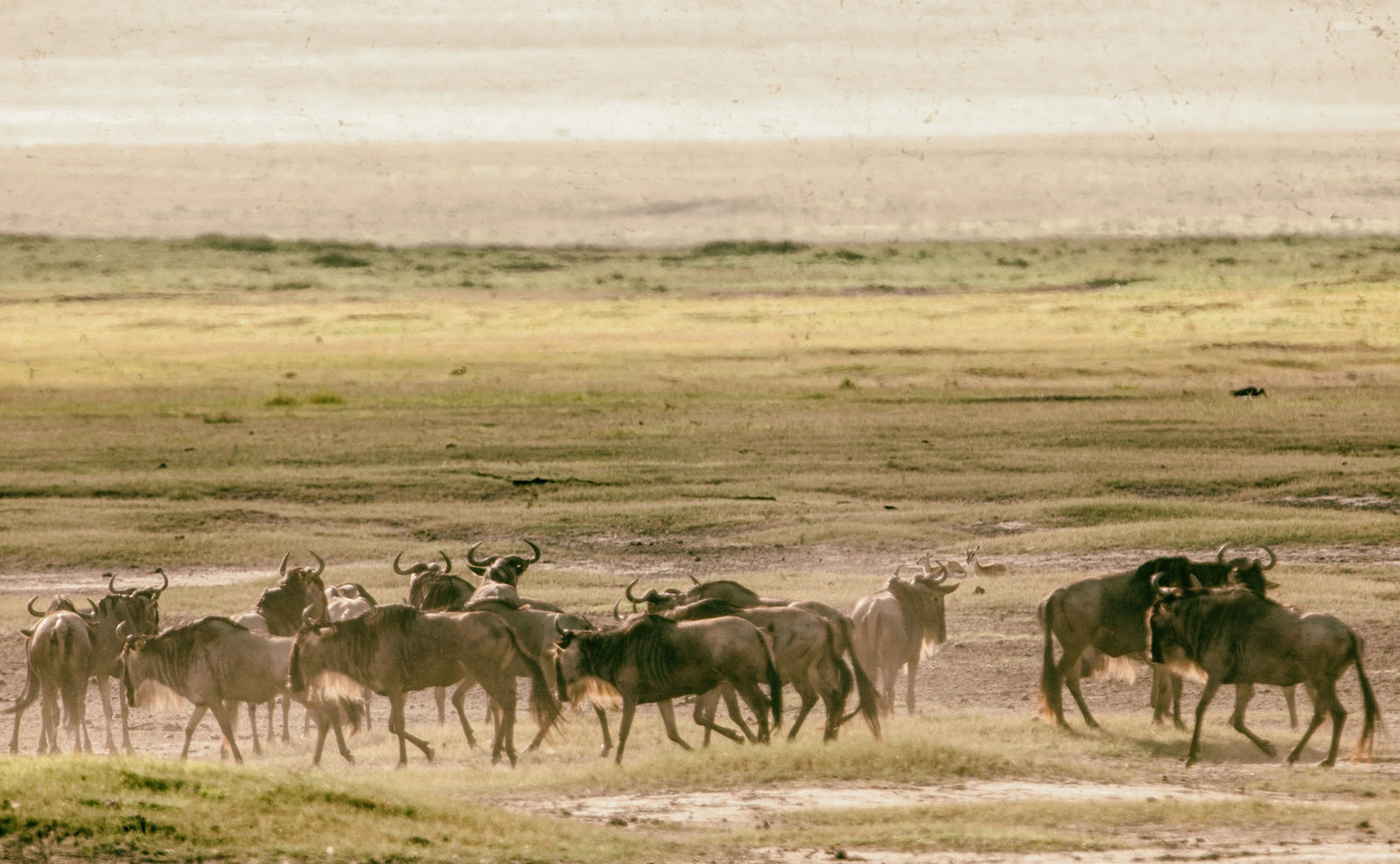 The Quiet Rhythm of Movement