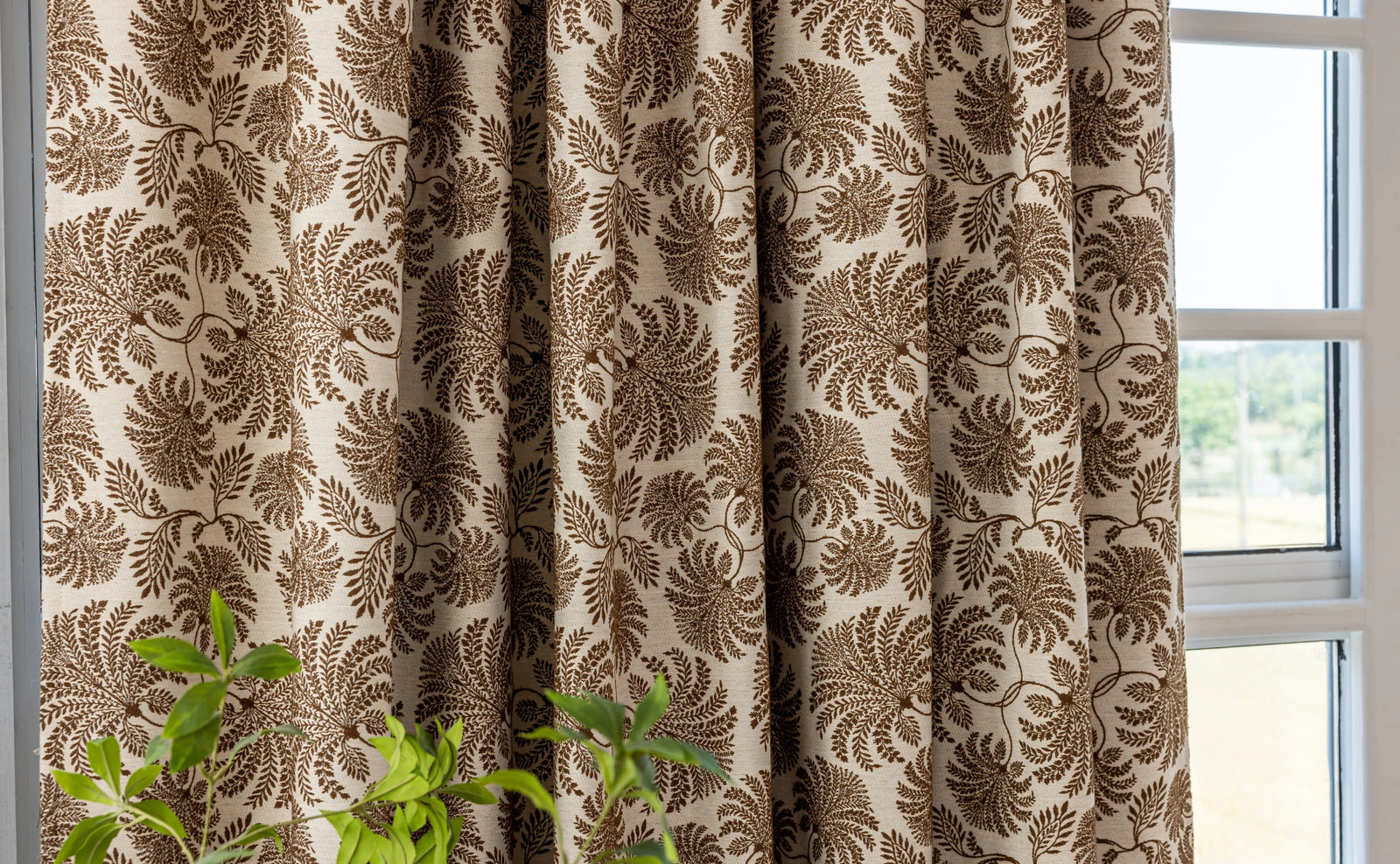 Daylight, Filtered with Character