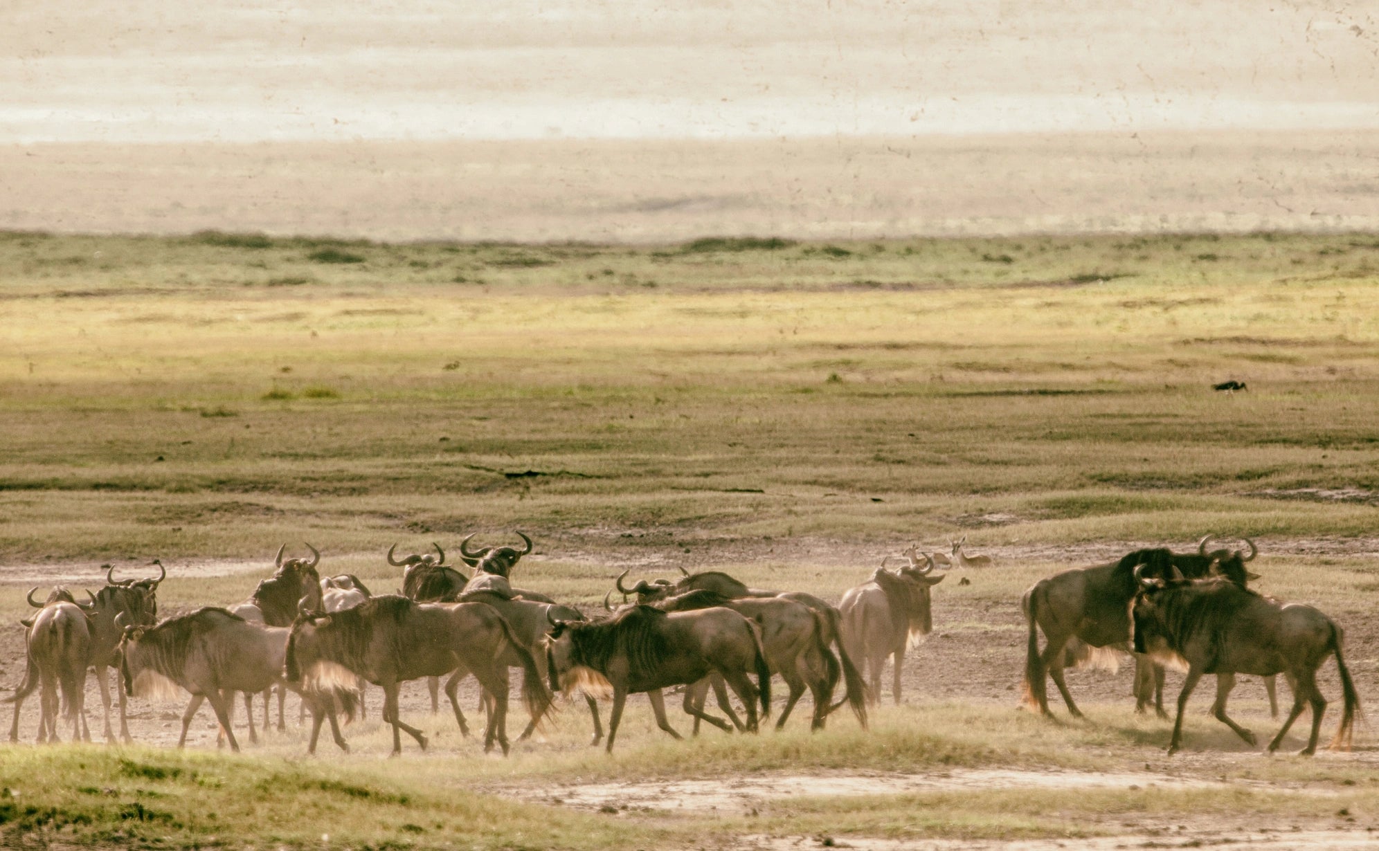 The Quiet Rhythm of Movement